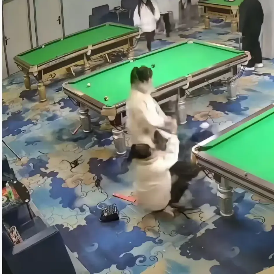 《台球厅三狠人》太炸裂！精神少女在台球厅互撕，真人互锤事件完整视频全网无删减，免费在线观看速来！