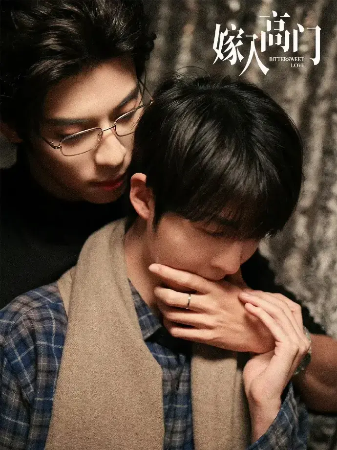 《嫁入高门的男人》全集免费观看，2026最新环大陆剧无删减高清在线，蓝光画质1080P中字畅享-星辰影院