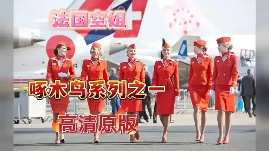 法国经典电影《法国空姐》1080P高清免费在线观看-完整版《法国空姐》无删减在线畅看-《法国空姐》无广告纯净极速播放