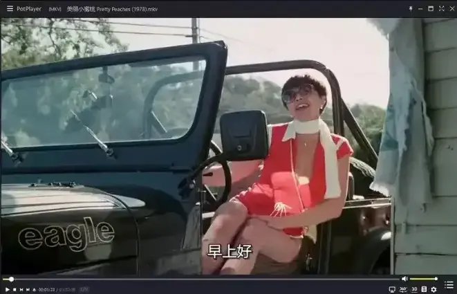 《美丽小蜜桃》1978年美国复古喜剧电影无删减完整版在线观看_高清中字免费播放_星辰影院