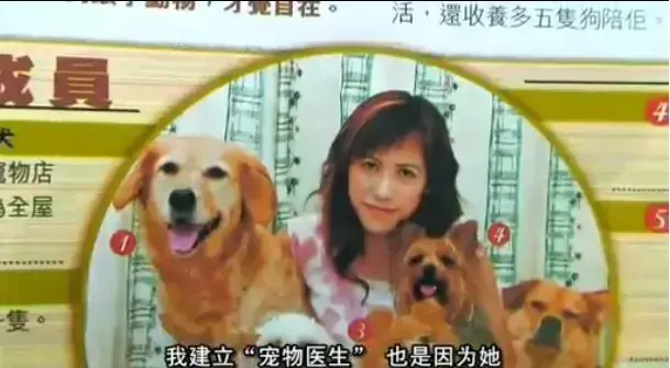 欧美大片《女人与狗》免费在线看，中字全集无删减-《女人与狗》1080P高清画质播放-支持网盘资源下载无广告