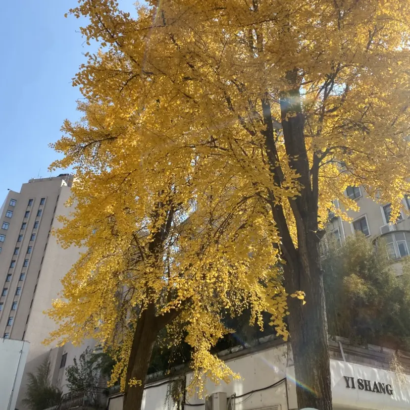 silk_labo系列蓝光画质-女性向1080P全集-高清无广告在线观看-百度网盘独家分享-浪漫视觉盛宴