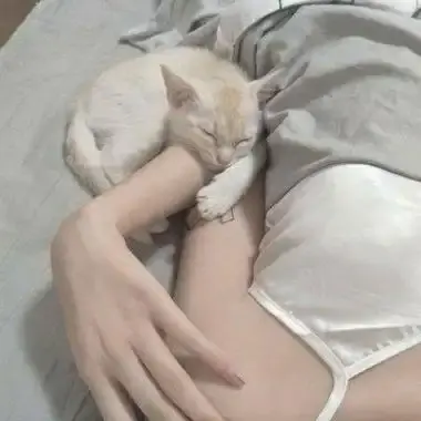 《昆廷夫夫合集》-昆廷夫妇1080P高清全集下载，昆廷夫夫无广告在线观看-零影视极速通道